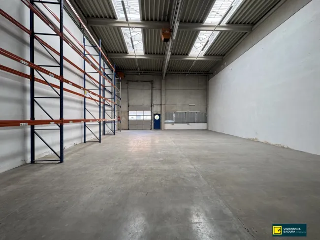 Helle Büro-, Ausstellungs- und Gewerbefläche mit zwei Hallen in bester Lage von 1230 Wien - Titelbild