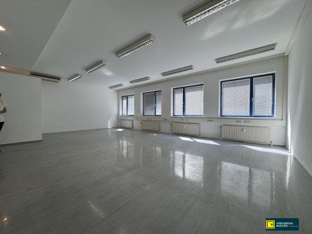 Helle Büro-, Ausstellungs- und Gewerbefläche mit zwei Hallen in bester Lage von 1230 Wien