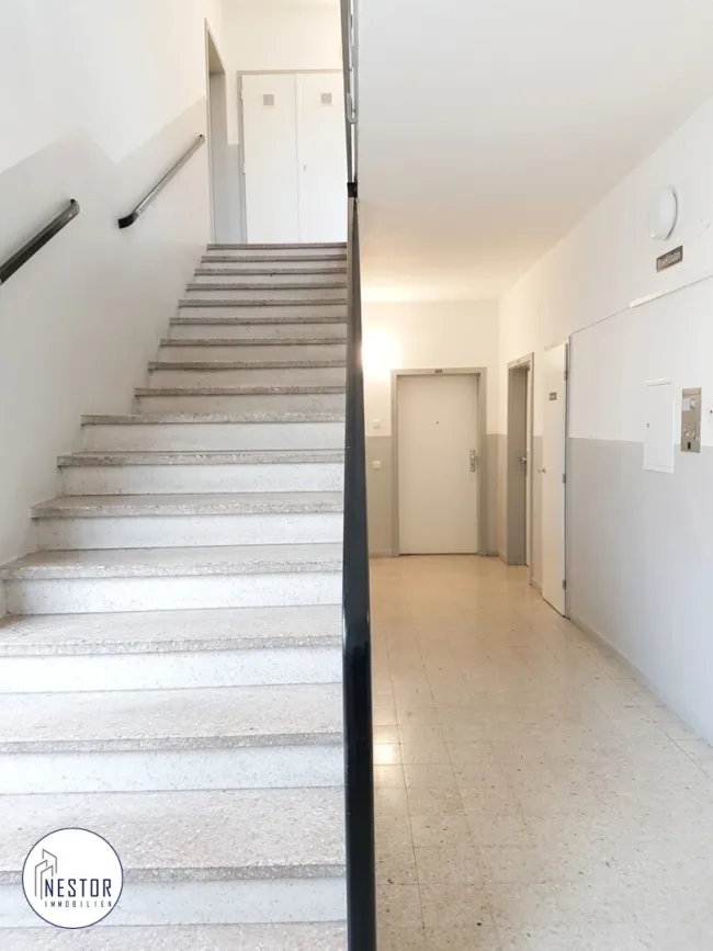 Wohnung - NESTOR Immobilien