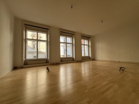 Helle, gut ausgestatte 178 m² Bürofläche in repräsentativem Stilaltbau Nähe Seilerstätte!
