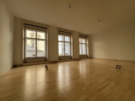 Helle, gut ausgestatte 178 m² Bürofläche in repräsentativem Stilaltbau Nähe Seilerstätte!