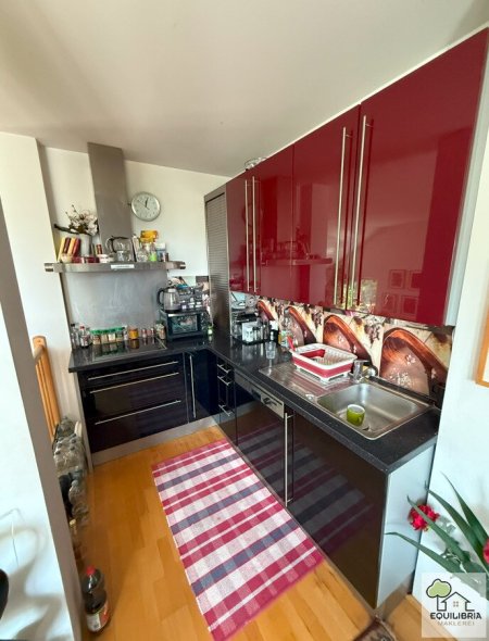 Kritzendorf – Wohnen wie im Urlaub! Loft-Feeling nur 400 Meter vom Strombad Kritzendorf entfernt