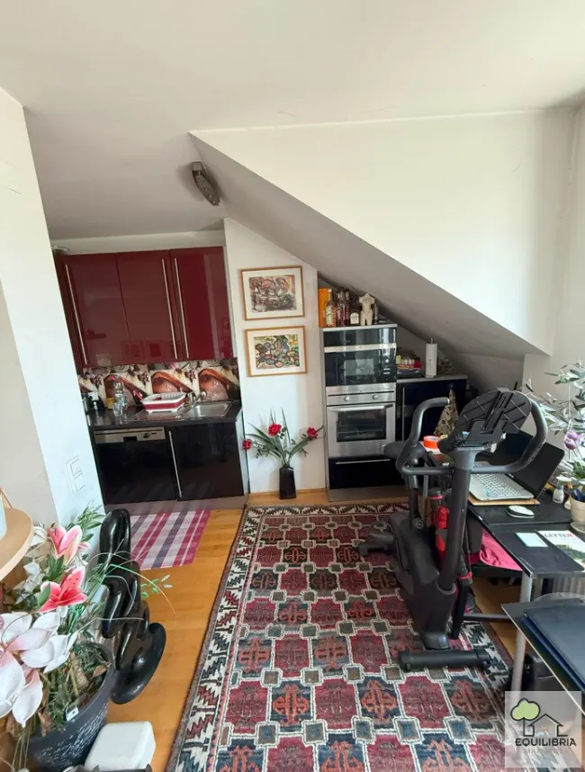 Kritzendorf – Wohnen wie im Urlaub! Loft-Feeling nur 400 Meter vom Strombad Kritzendorf entfernt - Bild