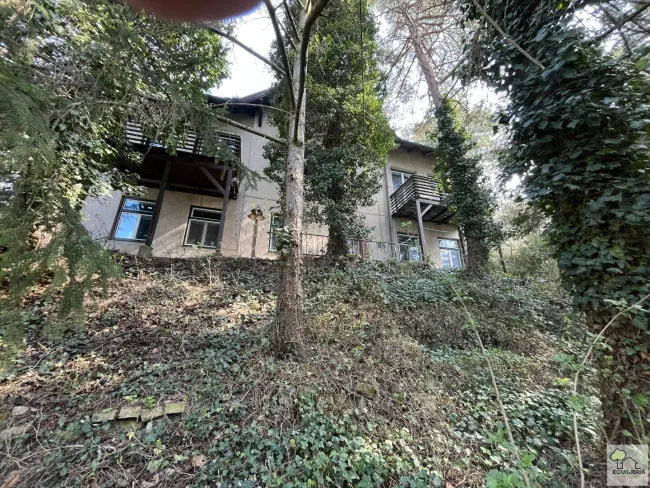 Großzügiges Baugrundstück 1421m² mit Altbestand in Klosterneuburg – Ihr Traum vom Eigenheim! - Bild
