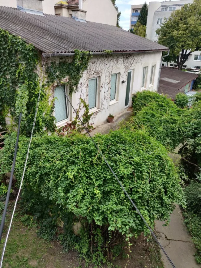 +Seltene Gelegenheit in 1210 Wien+ 100 Prozent bestandsfreies Zinshaus mit Entwicklungspotenzial, idyllischem Garten und Dachgeschossausbau! - Bild