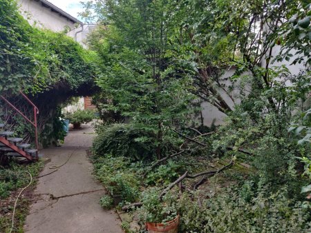 +Seltene Gelegenheit in 1210 Wien+ 100 Prozent bestandsfreies Zinshaus mit Entwicklungspotenzial, idyllischem Garten und Dachgeschossausbau!