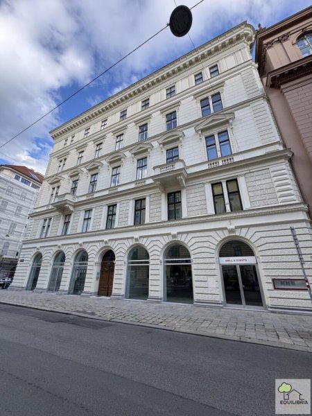 Neusaniertes Geschäftslokal ab Anfang 2027 in Toplage - Seilerstätte