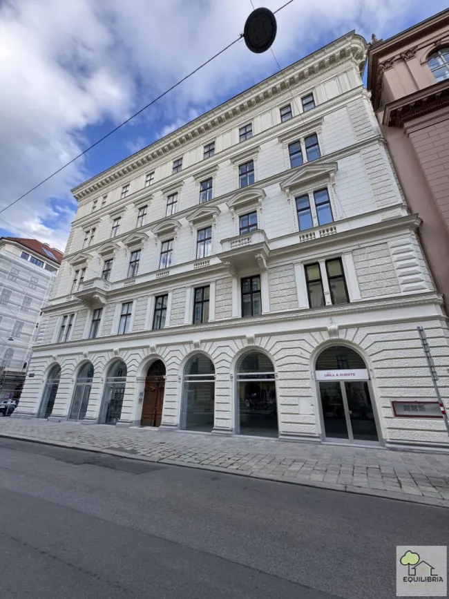 Neusaniertes Geschäftslokal ab Anfang 2027 in Toplage - Seilerstätte - Bild