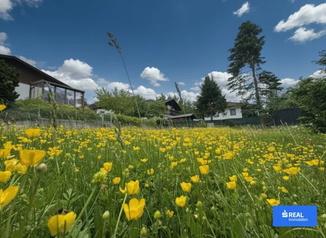 Baugrund im Grünen - Titelbild