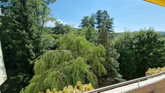 Fernblick und Ruhelage