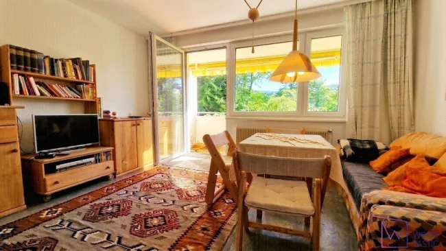 Helles Wohn-/Schlafzimmer mit Vollholzmöbeln