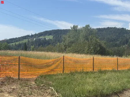 NEUER PREIS: Gartenwohnung mit schönem Grünblick