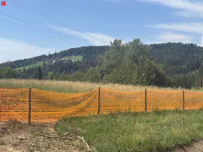 NEUER PREIS: Gartenwohnung mit schönem Grünblick - Bild