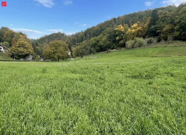 NEUER PREIS: Traumgrund in idyllischer Lage - Bild