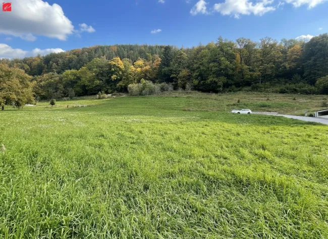 NEUER PREIS: Traumgrund in idyllischer Lage - Bild