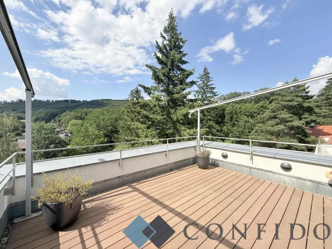 Terrasse 1