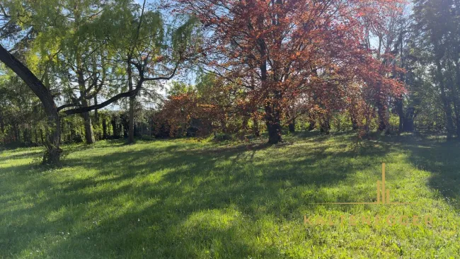 Einzigartiges Grundstück - 713m² - gelb - Bild
