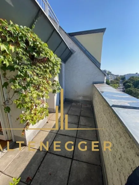 Über den Dächern West-Wiens - Bild