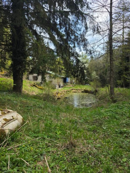 Altes Sacherl Nähe Maria Taferl + 1ha Wald & Wiesen