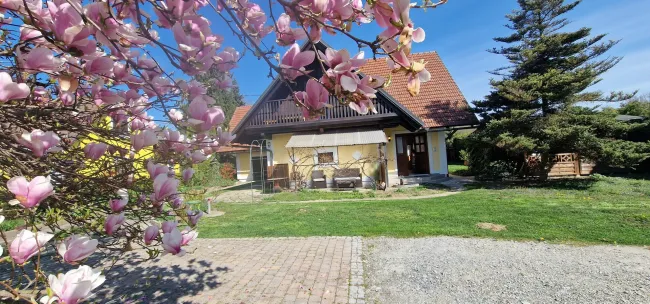 Einfamilienhaus in 8523 Frauental: 158m² – 1087m² eingezäuntes Grundstück - Bild
