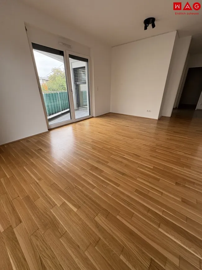 Haus