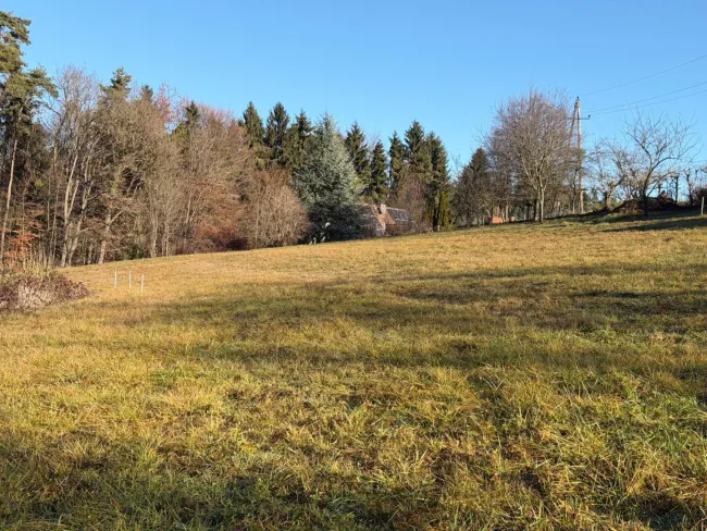 "Seltene Gelegenheit: 1115m² Baugrund in Ruhelage - Schemerlhöhe bei Laßnitzhöhe" - Bild