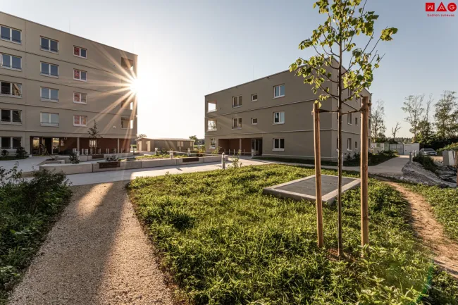 Fotos: @ Linda Zechmeister
