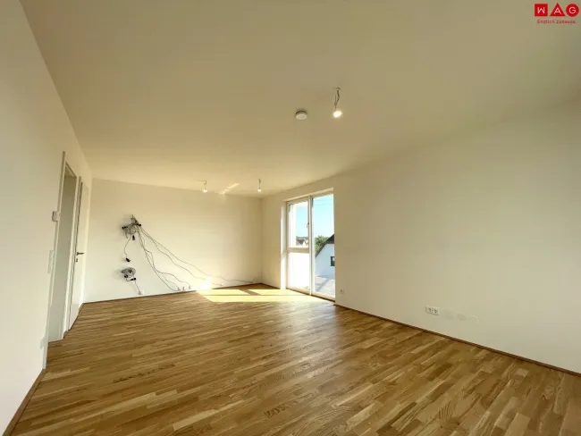 Blick Richtung Küche