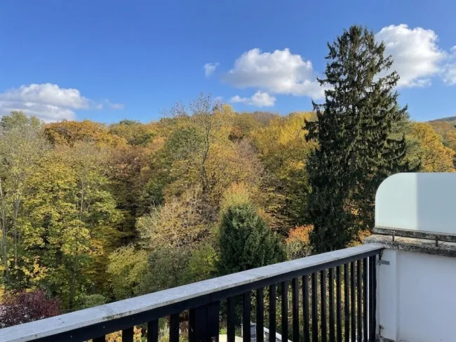 Blick Richtung Wienerwald