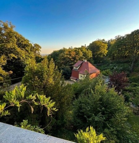 Ausblick vom Obergeschoß