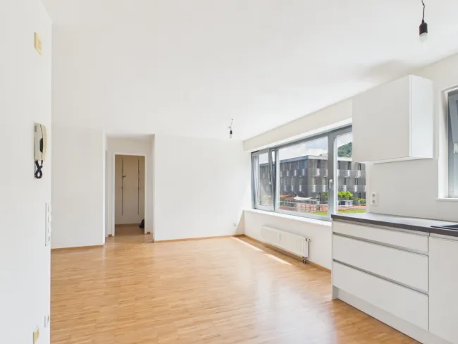 Sanierte 3-Zimmer-Eckwohnung mit westseitiger Terrasse – Ruhelage mit bester Infrastruktur - Bild