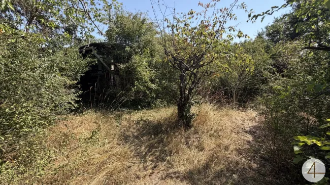 Schönes Baugrundstück in Bahnhofsnähe ! - Bild