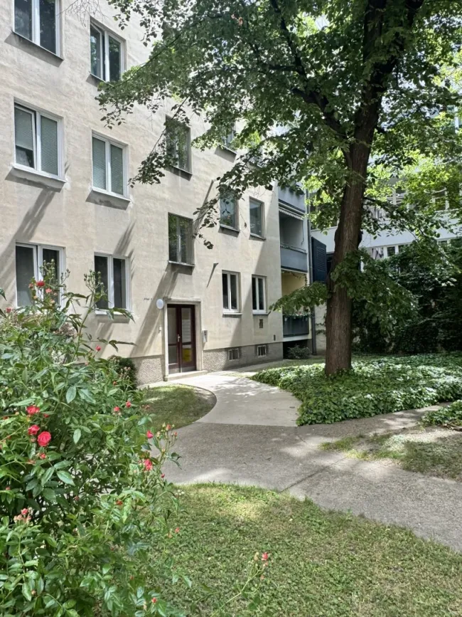 Hauseigener Garten