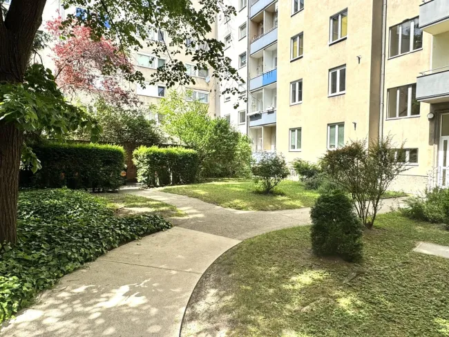 Hauseigener Garten