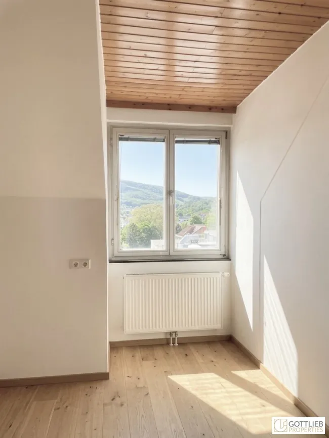 Nähe Altstadt! Bis Februar 2027 befristet vermietete Dachgeschoss-Studio-Wohnung mit Fernblick - Bild