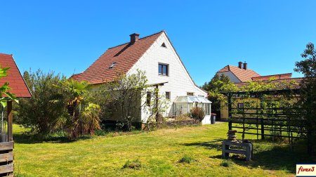 Traismauer - Gemeinlebarn: über 2.500m² Bauland-Kerngebiet mit Einfamilienhaus und Garten mit Altbaumbestand zu kaufen