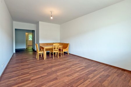 Wohn-Esszimmer