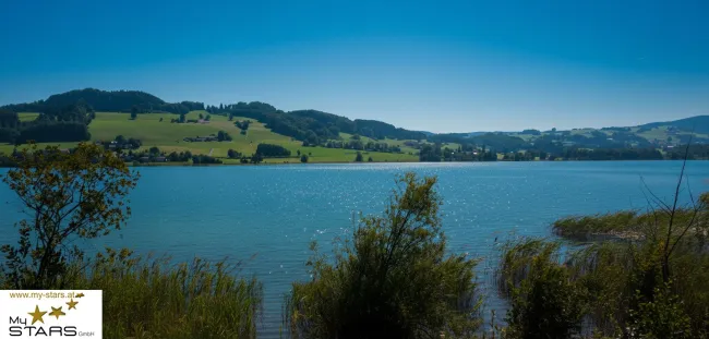 neuer Kaufpreis Ausstellungsstück: modernes Mobilheim direkt am See zu verkaufen, keine Käuferprovision! - Bild