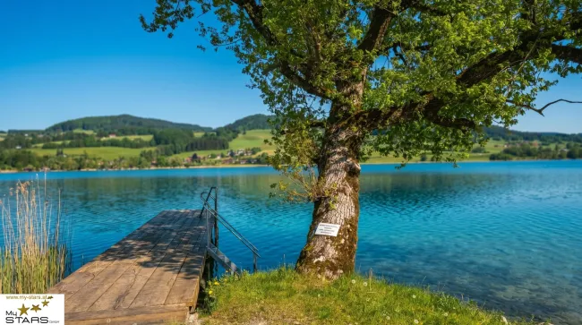 neuer Kaufpreis Ausstellungsstück: modernes Mobilheim direkt am See zu verkaufen, keine Käuferprovision! - Titelbild