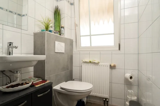 Erdgeschoß - WC mit Handwaschbecken
