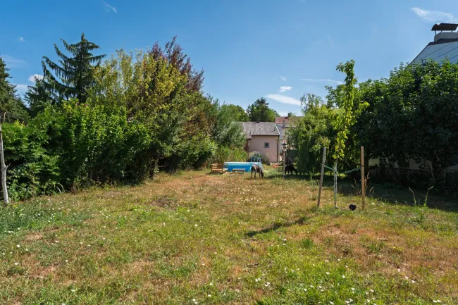 Hinterer Garten
