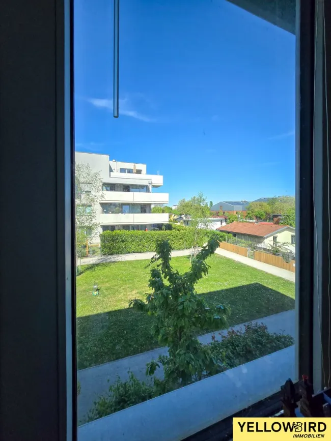 Ausblick