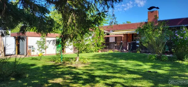 schöner Baugrund mit Potenzial in Pottendorf | ZELLMANN IMMOBILIEN - Titelbild