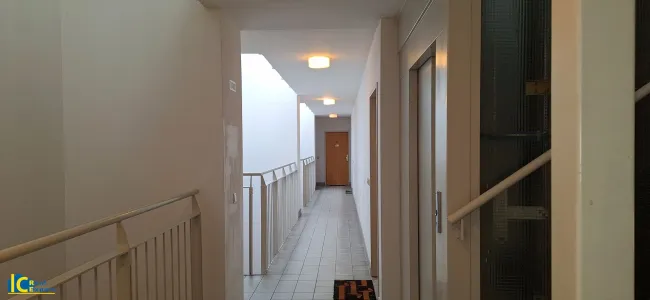 Gepflegtes Stiegenhaus mit Aufzug