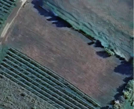 Grundstück/landwirtschaftlich genutzte Fläche in Pfaffstätten - Bild
