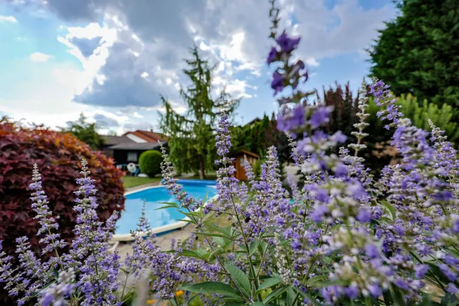 Wohlfühlfaktor im Garten