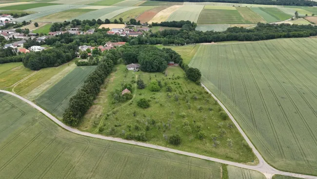 Villa auf Traumgrundstück I 33.457m² I 240m² Nutzfläche I Sauna I Garage I Altbaumbestand - Titelbild