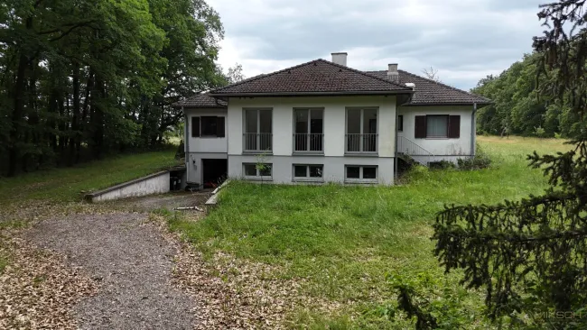 Villa auf Traumgrundstück I 33.457m² I 240m² Nutzfläche I Sauna I Garage I Altbaumbestand - Bild