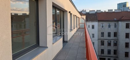Vollsanierte 4-Zimmer-Wohnung mit 27 qm Südwest-Terrasse nahe Wienerberg City