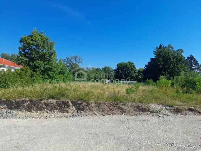 Blick auf die beiden linken Grundstücke von der Stichstraße aus